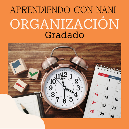 Organizacion - Aprendiendo con Nani